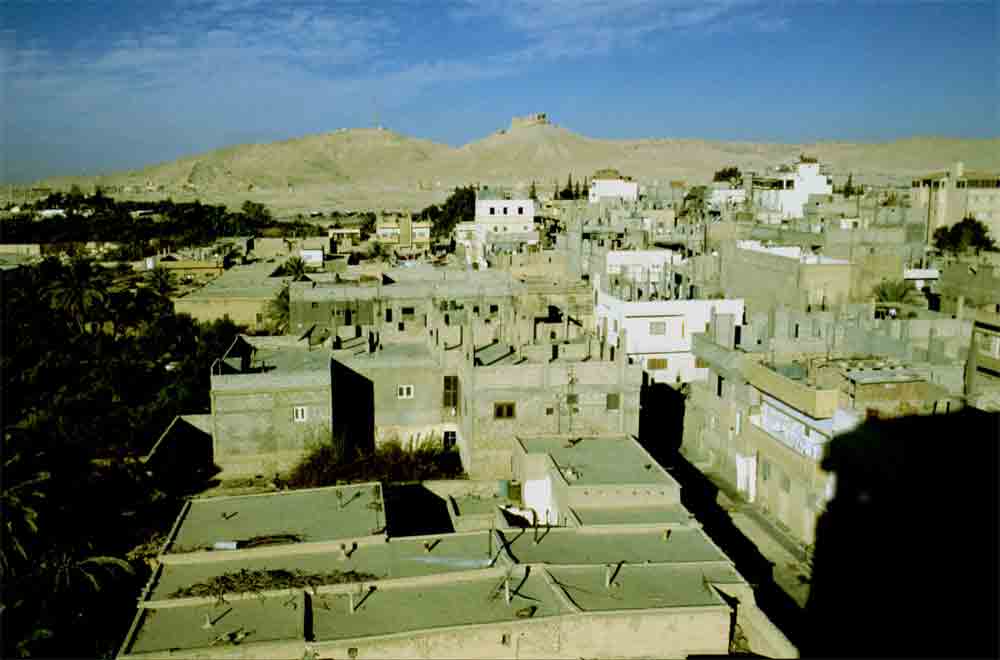 14 - Siria - Palmira, pueblo